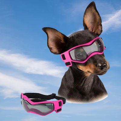Lunettes pour Chien   DogGoggles™   Rose   Jouetstoutou