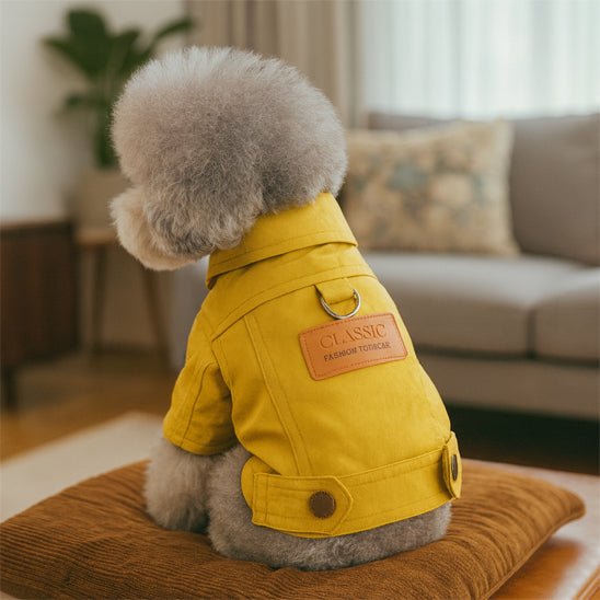 Manteau Petit Chien | Elegance Protection - Jouetstoutou