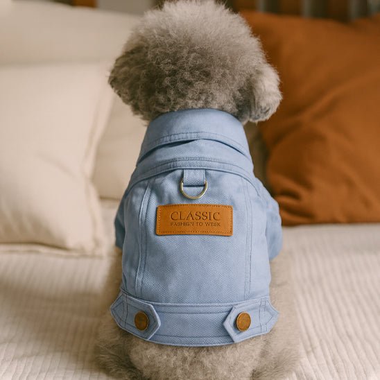 Manteau Petit Chien | Elegance Protection - Jouetstoutou