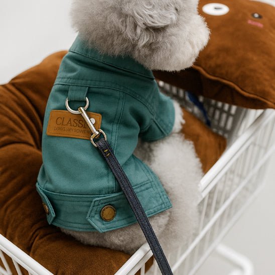 Manteau Petit Chien | Elegance Protection - Jouetstoutou