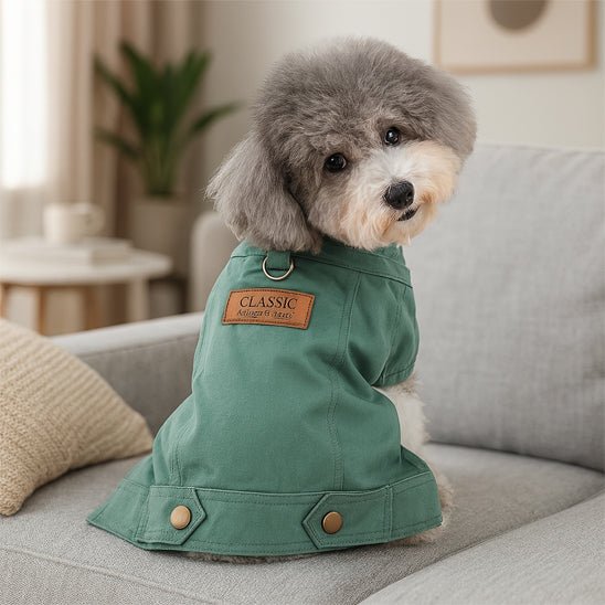 Manteau Petit Chien | Elegance Protection - Jouetstoutou