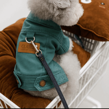 manteau petit chien gif
