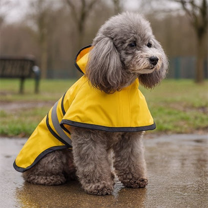 Manteau pour chien | Chaud et Imperméable - Jouetstoutou