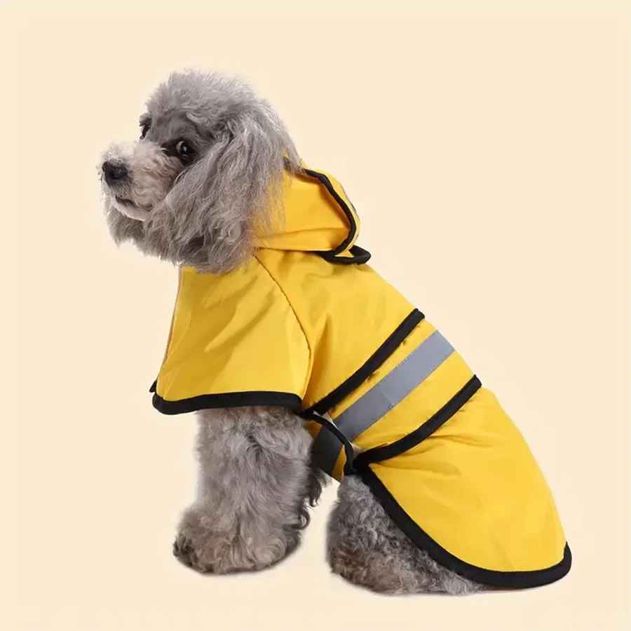 Manteau pour chien | Chaud et Imperméable - Jouetstoutou