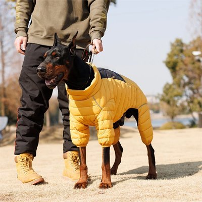 Manteau pour Chien | HivernaPro - Jouetstoutou