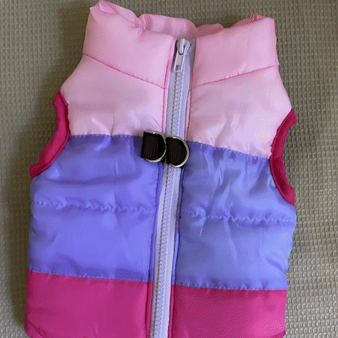 manteau pour petit chien gif