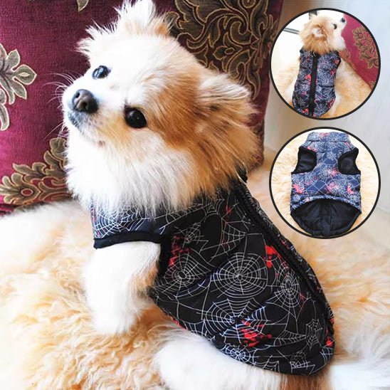 Manteau pour petit chien | Thermique Cosy - Jouetstoutou