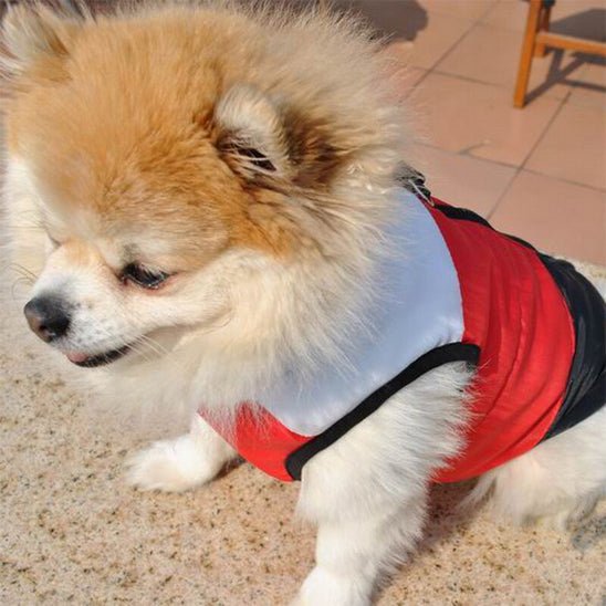 Manteau pour petit chien | Thermique Cosy - Jouetstoutou