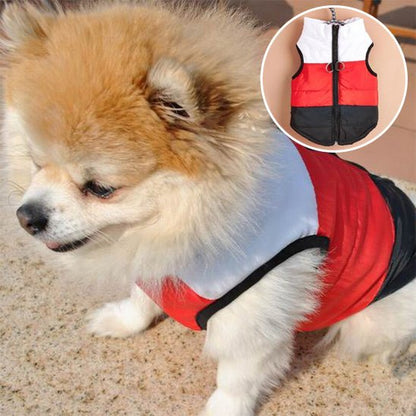Manteau pour petit chien | Thermique Cosy - Jouetstoutou