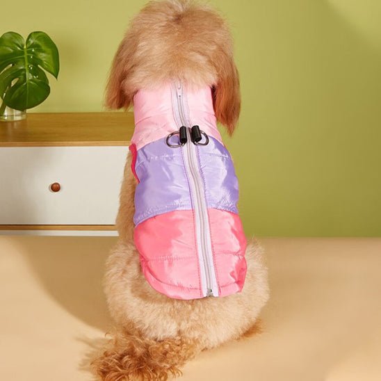 Manteau pour petit chien | Thermique Cosy - Jouetstoutou