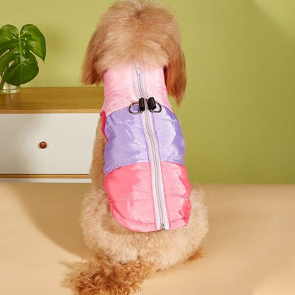 Manteau pour petit chien | Thermique Cosy - Jouetstoutou