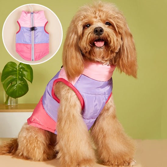 Manteau pour petit chien | Thermique Cosy - Jouetstoutou