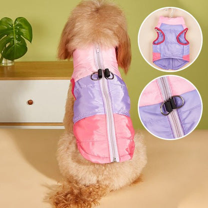 Manteau pour petit chien | Thermique Cosy - Jouetstoutou