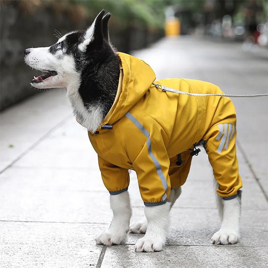 Manteaux pour chien imperméable | VisioProtect - Jouetstoutou