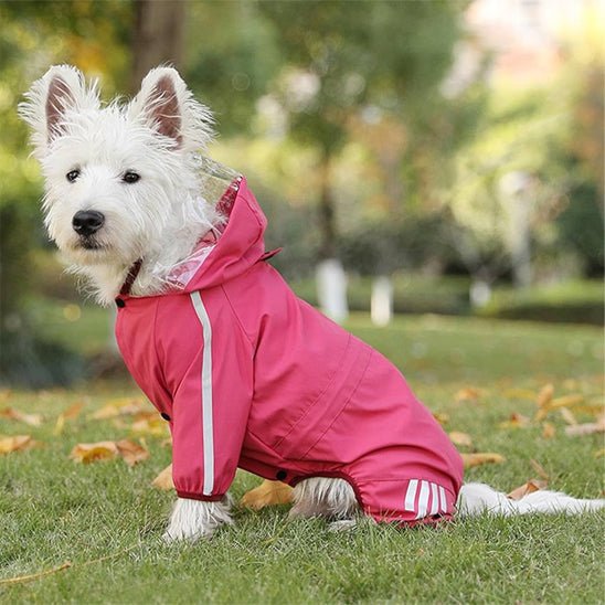 Manteaux pour chien imperméable | VisioProtect - Jouetstoutou
