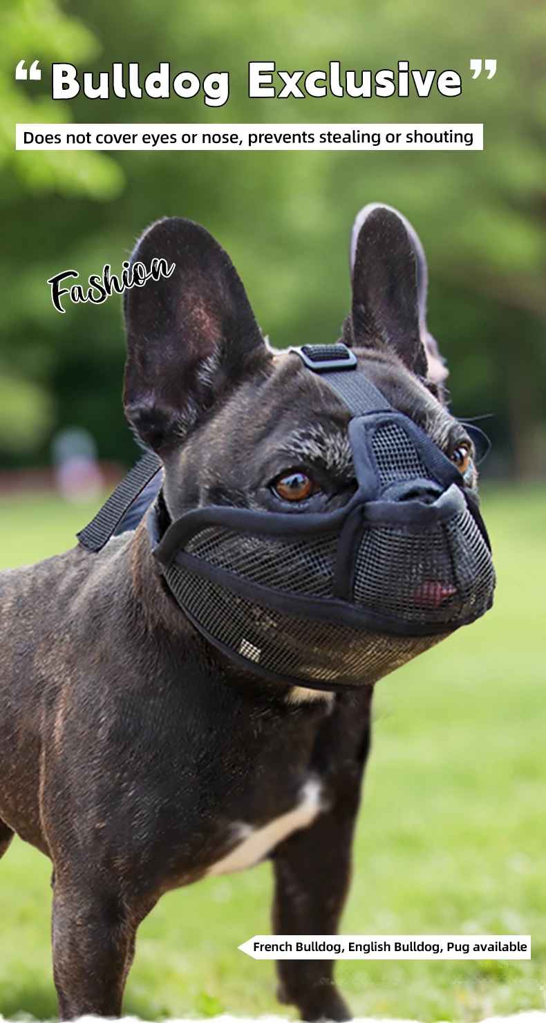 Muselière bouledogue français | Respirante - Jouetstoutou