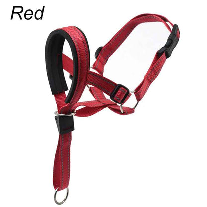 Muselière chien | ComfortSafe - Jouetstoutou