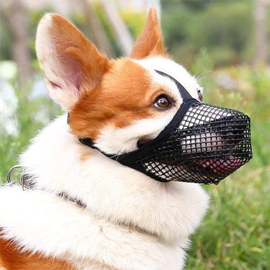 Muselière chien | Confort Sécurisé™ - Jouetstoutou