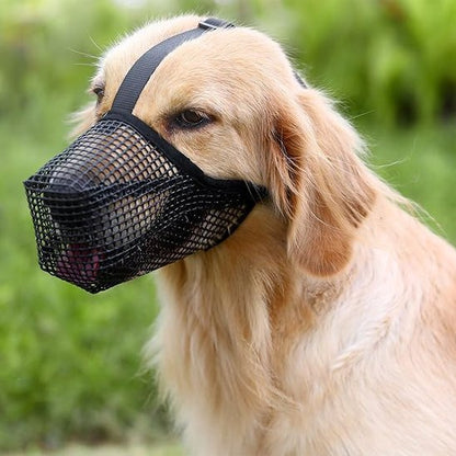 Muselière chien | Confort Sécurisé™ - Jouetstoutou