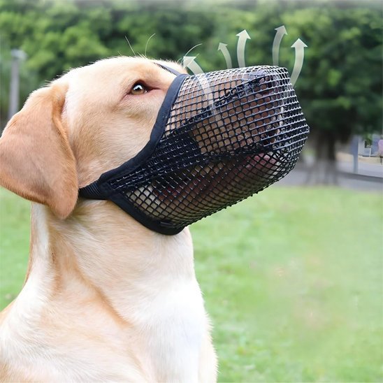 Muselière chien | Confort Sécurisé™ - Jouetstoutou