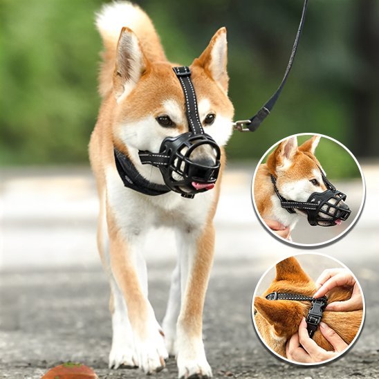 Muselière | Silicone Flex - Jouetstoutou