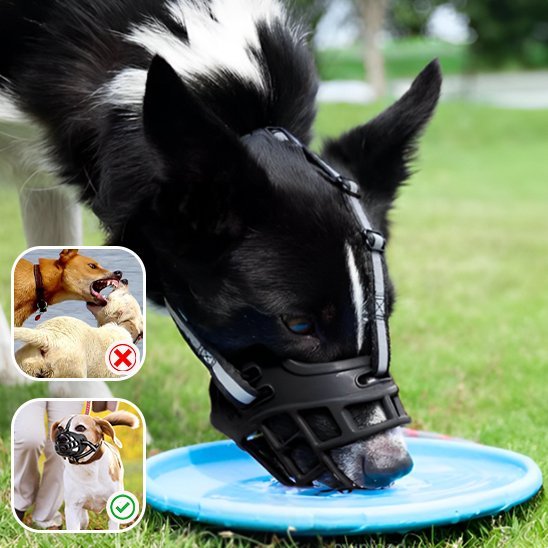 Muselière | Silicone Flex - Jouetstoutou