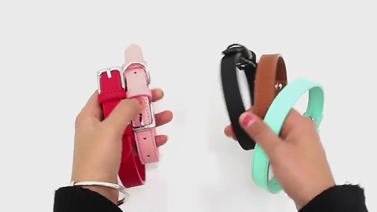 collier chien cuir video