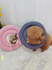 collier pour chien video