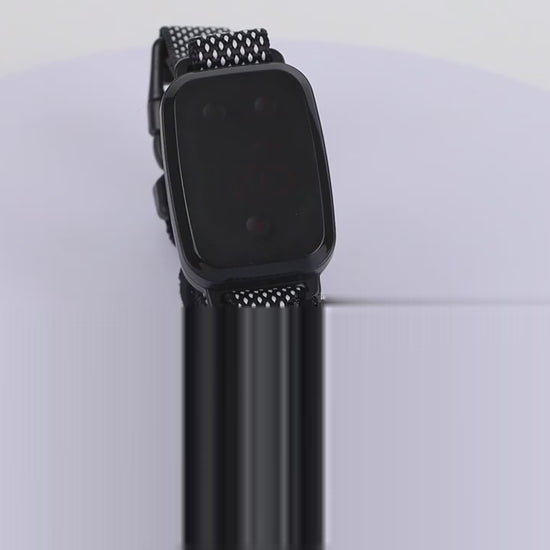 collier dressage chien video produit