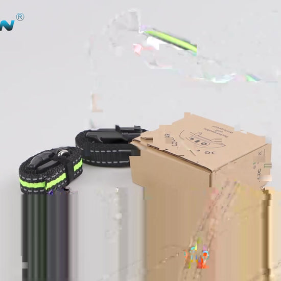 chien collier dressage vidéo