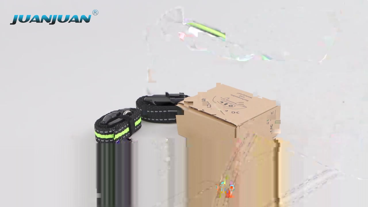 chien collier dressage vidéo