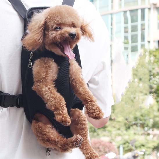 Sac de transport chien noir nylon